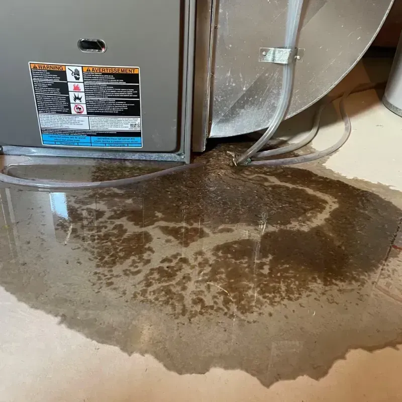 Appliance Leak Cleanup in Kanabec County, MN